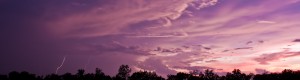 IMG_7003